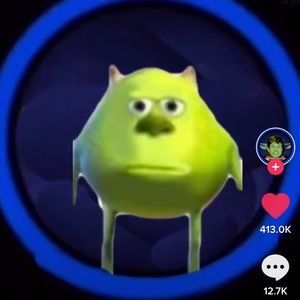 Meet your Posher, Sam